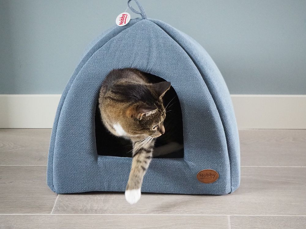 Auf dem Bild ist ein Katzenhaus der Marke Nobby zu sehen, das für Katzen als Rückzugsort dient. Es handelt sich um ein modernes, blaues Stoffhaus in Zeltform mit einem ovalen Eingang. Eine getigerte Katze schaut aus dem Eingang heraus. Das Produkt ist ide