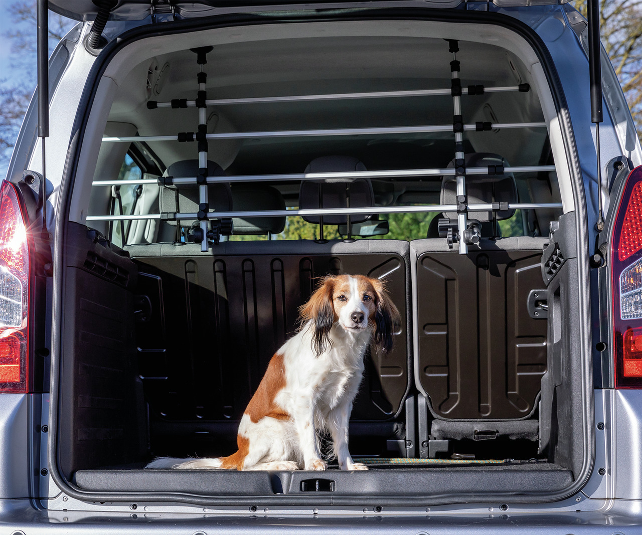 Trixie Auto-Gitter für Vans, Kastenwagen und Kleinbusse Hunde Transport B: 105 - 172 / H: 46 - 60 cm