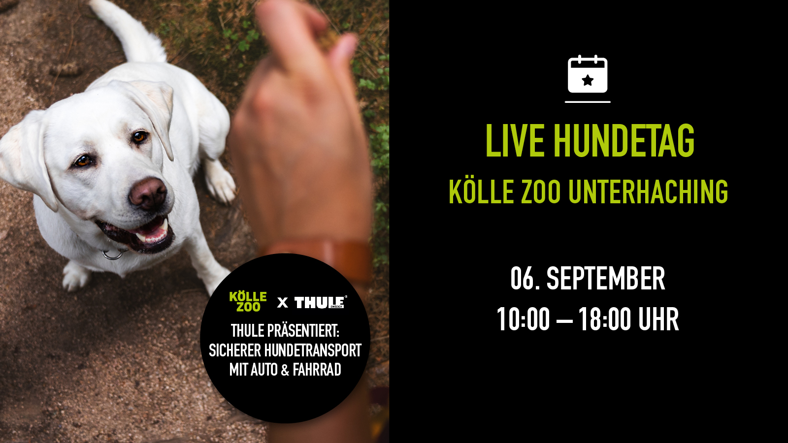 Kw35 3008 Hundetagunterhaching Mobile