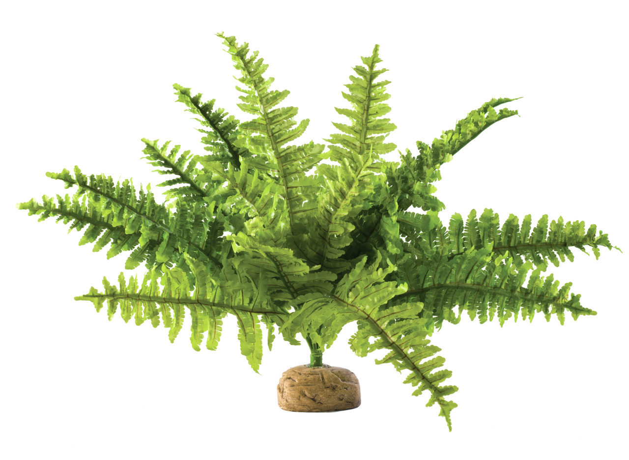 Exo Terra "Boston Farn", künstl. Pflanze, für Reptilien-Amphibien, realistisch, Versteckmöglichk., ca. 30 cm hoch, stabiler Standfuß.