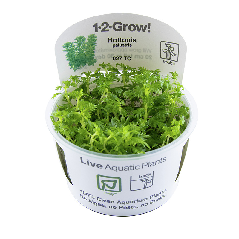 Das Bild zeigt eine Verpackung der Marke Tropica mit der Aufschrift „1-2-Grow!“ und der Wasserpflanze „Hottonia palustris“. Die Zielgruppe sind Aquarienbesitzer. Die Pflanze wird in einem transparenten Becher präsentiert, der 100 % saubere Aquarienpflanze