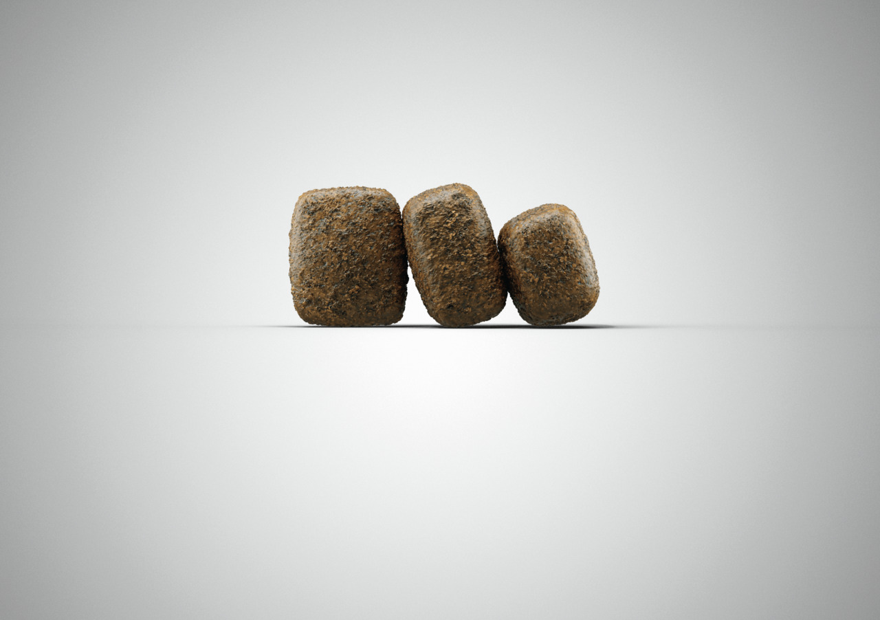 Josera Optiness Hundefutter, erw. Hunde, Lamm, für normalen Energiebedarf, mittelgr. Kroketten, braun, rau.