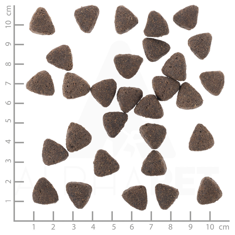 Das Bild zeigt Wolfsblut Trockenfutter für Hunde in dreieckiger Form. Die Marke ist Wolfsblut, und das Produkt richtet sich an Hunde. Die Kroketten sind dunkelbraun und etwa 1 bis 2 cm groß. Eine Skala im Hintergrund verdeutlicht die Größe. Geschmacksrich
