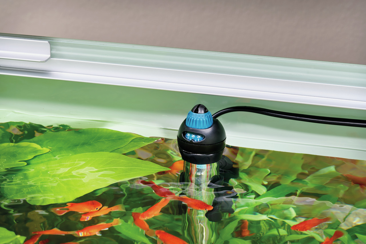 Oase HeatUp Aquarium-Heizer, für Aquarienbesitzer, präzise Temp.regelung, mit Skala, für Fische, im Bild mit Pflanzen & roten Fischen.