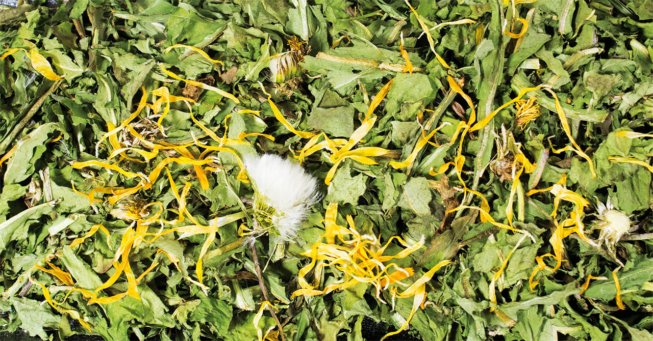 Das Bild zeigt eine Mischung aus getrockneten Blättern, Blüten und Kräutern, die als Futter für Kleintiere wie Kaninchen und Meerschweinchen geeignet ist. Es handelt sich um das Produkt „JR FARM Löwenzahn“, das speziell für Nager entwickelt wurde. Die Mis