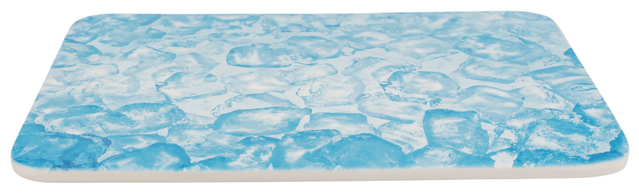 TRIXIE Kühlplatte Kleintiere 28x20cm blau