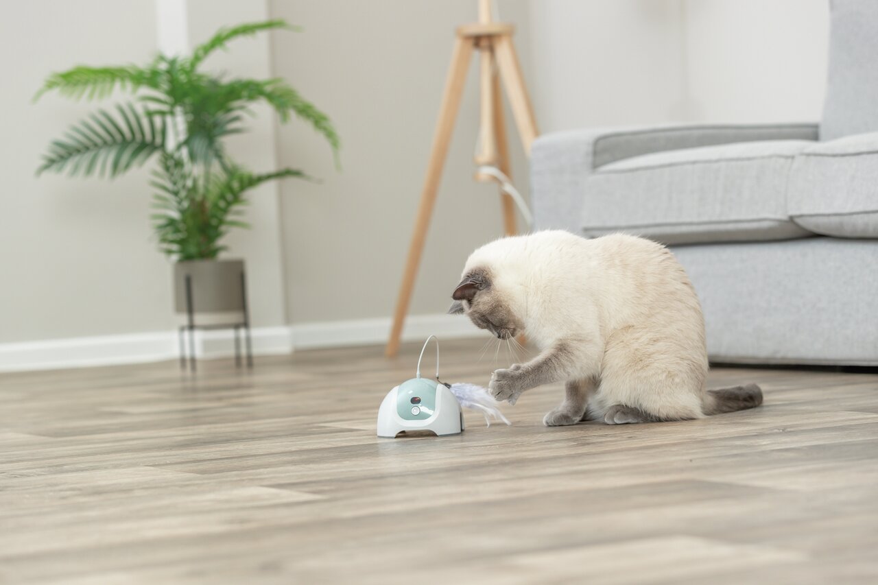 Ein cremefarbener Siamkater spielt mit dem TRIXIE Catch the Light Katzenspielzeug, das auf einem hellen Holzboden in einem modernen Wohnzimmer steht. Das interaktive Spielzeug mit LED-Licht und Federaufsatz ist speziell für Katzen entwickelt, um ihren Jag