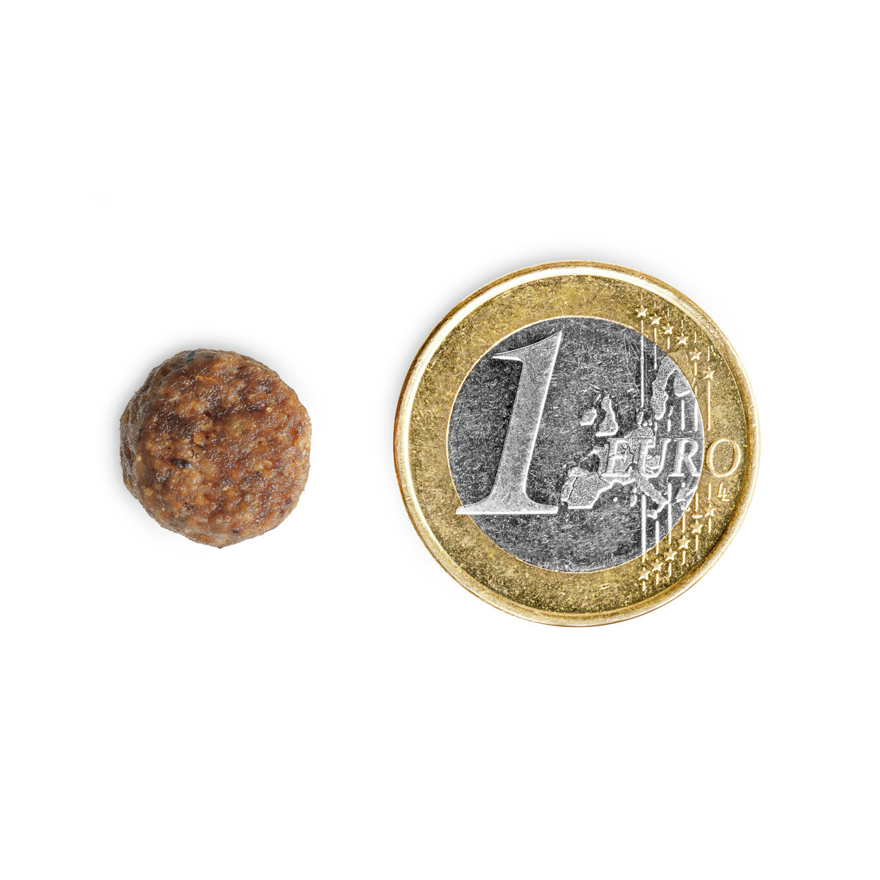 Das Bild zeigt ein einzelnes, rundes Trockenfutterstück der Marke TIKAANI, das speziell für Hunde entwickelt wurde. Es liegt neben einer 1-Euro-Münze, um die Größe des Futters zu veranschaulichen. Das Produkt ist für Hunde aller Größen geeignet und bietet