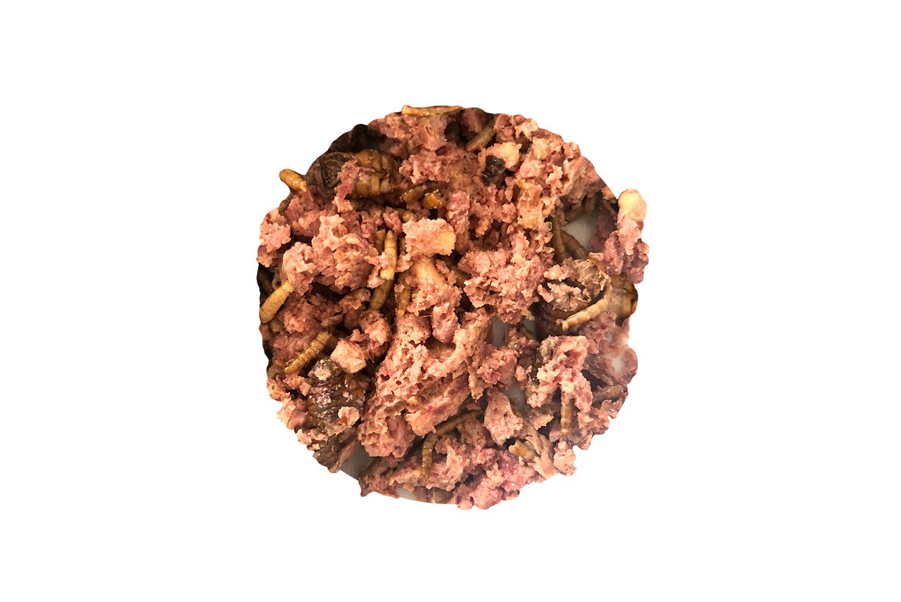 Claus Gourmet-Insektenfutter, 500 g, für Wildvögel: proteinreiche Insekten & weiches Futter, fördert Gesundheit & Vitalität.