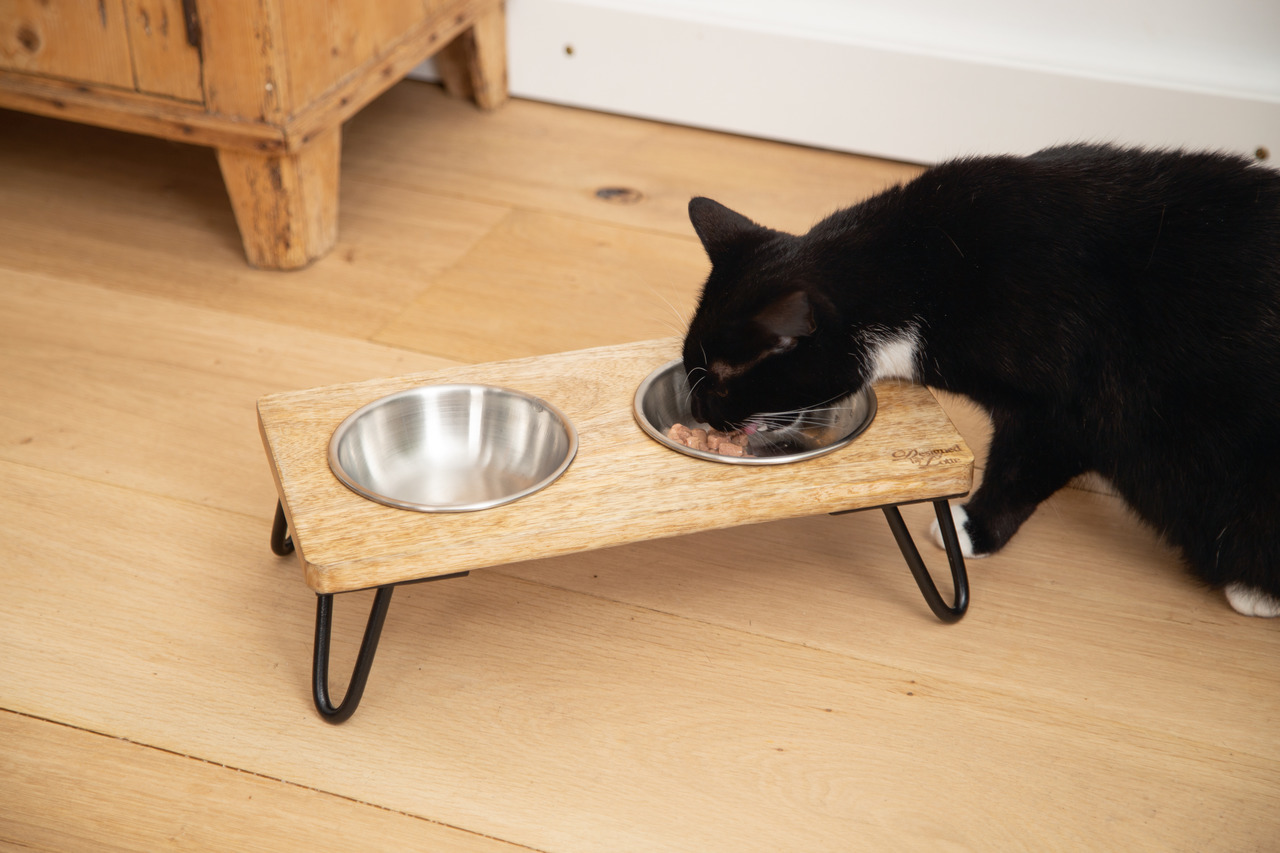 Designed by Lotte Holz Katzennapf Set Linga 31 x 16 x 10 cm