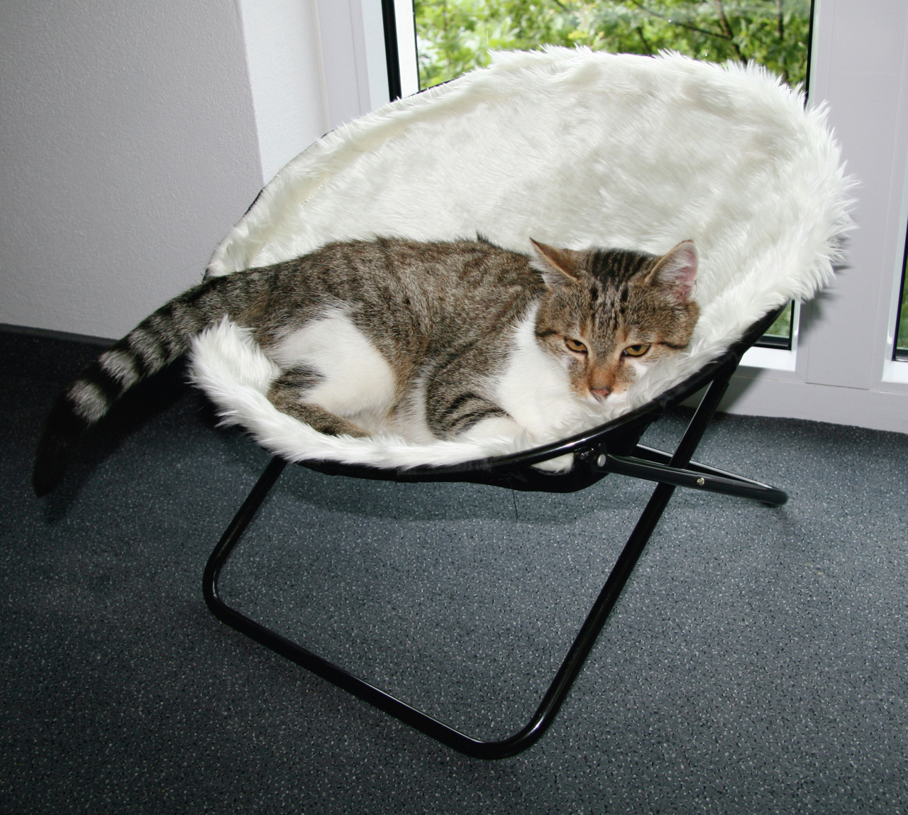 Das Bild zeigt einen Katzenliegestuhl der Marke KERBL, Modell "Luna", speziell für Katzen entwickelt. Der Stuhl hat ein schwarzes Metallgestell und eine weiße, flauschige Liegefläche, die Komfort bietet. Eine getigerte Katze liegt entspannt darauf. Ideal 