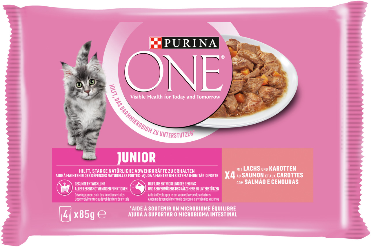 ONE Junior Lachs/Karotte Multipack 4x85 g