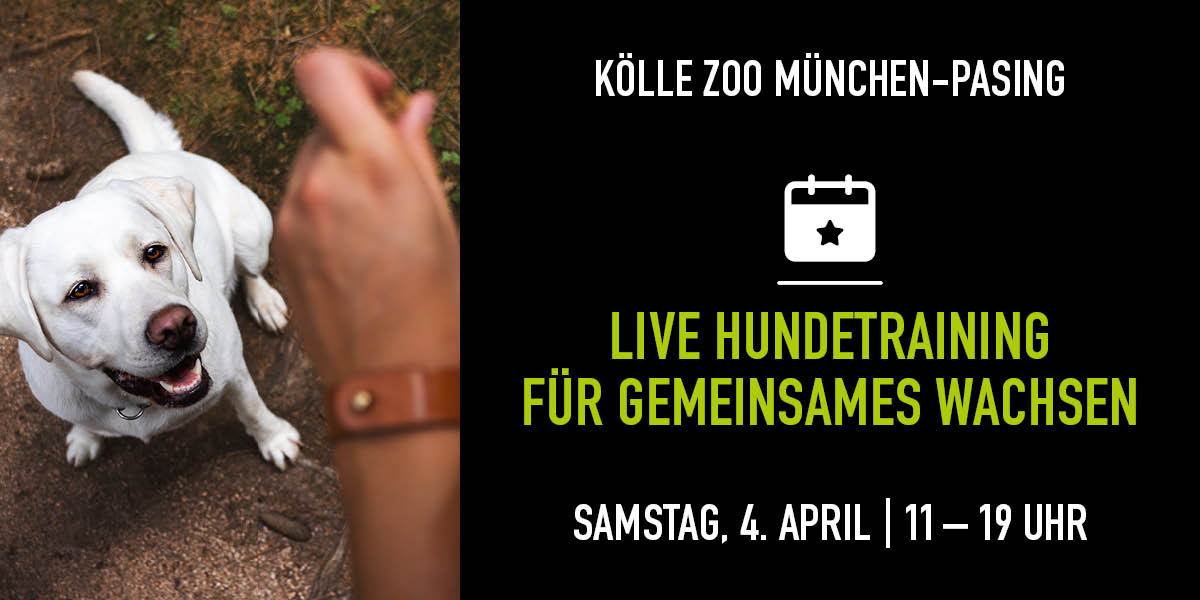 Hundetraining-Event: Trainerin belohnt weißen Hund. Textinfos rechts.