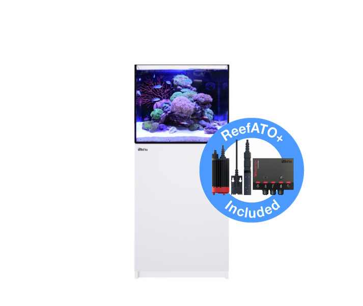 Das Bild zeigt das Red Sea MAX NANO Aquarium, ein modernes Komplettsystem für Meerwasseraquarien. Es ist speziell für Aquaristik-Enthusiasten konzipiert und enthält das ReefATO+ System zur automatischen Nachfüllung. Das Aquarium bietet eine kompakte Größe