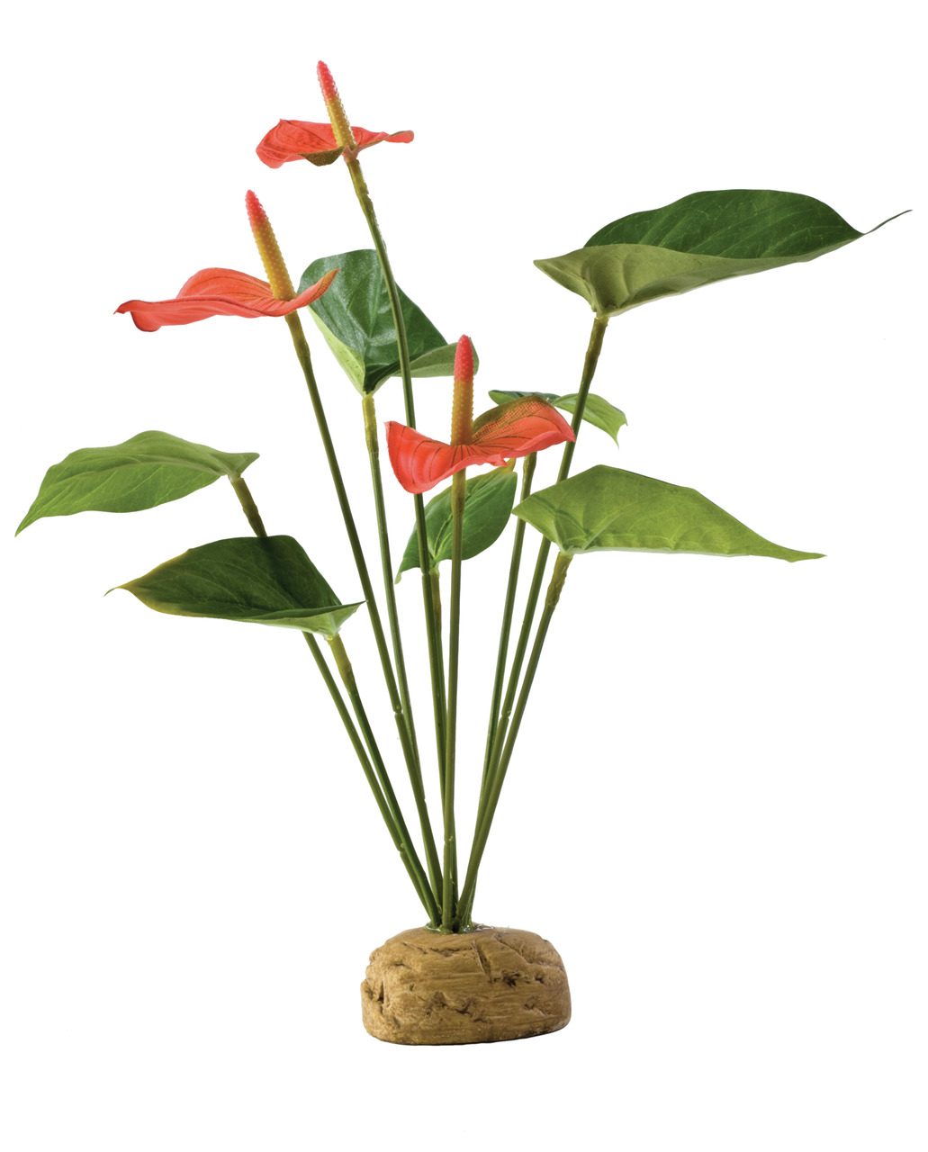 Künstliche Pflanze der Marke Exo Terra, Modell Anthurium, speziell für Terrarien gestaltet. Geeignet für Reptilien und Amphibien, bietet sie eine natürliche Optik und Versteckmöglichkeiten. Die Pflanze hat rote Blüten, grüne Blätter und einen stabilen, st