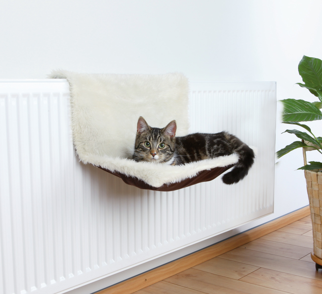 Das Bild zeigt eine Katze, die entspannt in einer TRIXIE Heizkörperliege liegt. Die Liege ist mit einem weichen, cremefarbenen Plüschbezug ausgestattet und bietet Katzen einen gemütlichen Rückzugsort. Zielgruppe sind Katzenhalter, die ihren Tieren Komfort