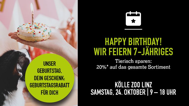 241026 Geburtstag Linz Mobile 768x432px