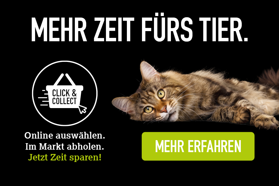 Klle Zoo Shop - Dein Tierfachmarkt fr Hund, Katze und Co.