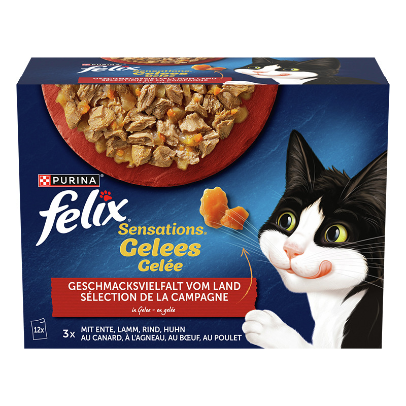 Purina Felix Sensations Gelees, Katzenfutter, Geschmacksvielfalt vom Land (Ente, Lamm, Rind, Huhn), 12x85g, fröhlicher Kater abgebildet.
