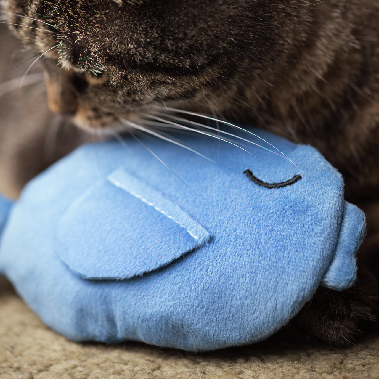 Auf dem Bild ist ein braun getigerter Hauskatze zu sehen, die mit einem blauen Plüschspielzeug in Form eines Fisches spielt. Das Produkt ist von der Marke Allpets und richtet sich an Katzen als Zielgruppe. Es handelt sich um ein Katzenspielzeug, das für U