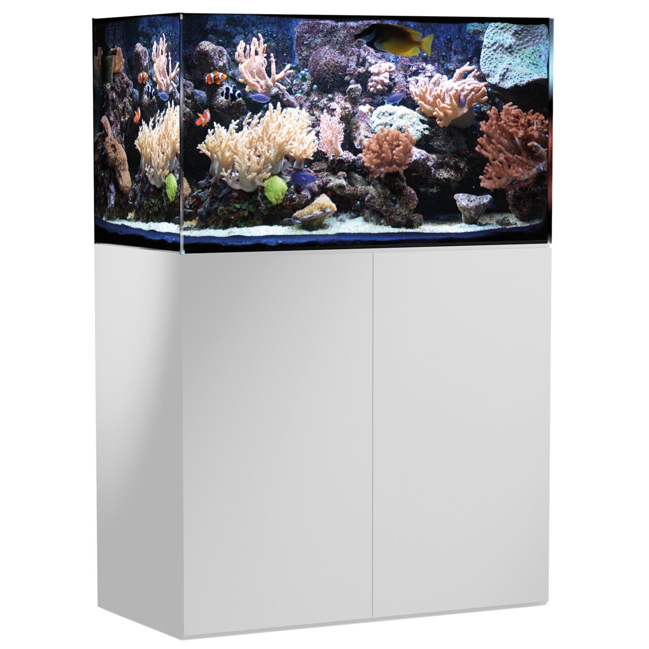 AQUA MEDIC Armatus 400 Meerwasseraquarium, ideal für Aquaristik-Enthusiasten, inkl. weißem Unterschrank, für Korallen & trop. Fische.