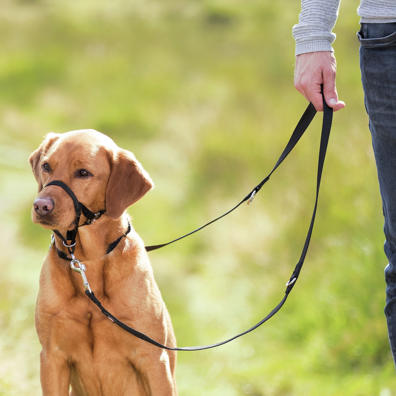 Trixie Trainingsgeschirr Top Trainer Hunde S