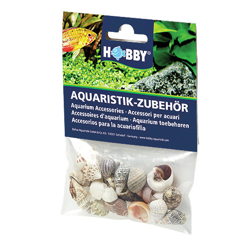 HOBBY Aquaristik-Zubehör: Mischung dekorativer Muscheln für Aquarienbesitzer, ideal zur Gestaltung. Menge: Vielzahl kleiner Muscheln.