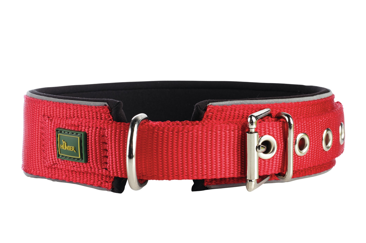 HUNTER rotes Hundehalsband, Nylon, für Hunde aller Größen, weiche Polsterung, Metallschnalle, größenverstellbar, ideal täglich.