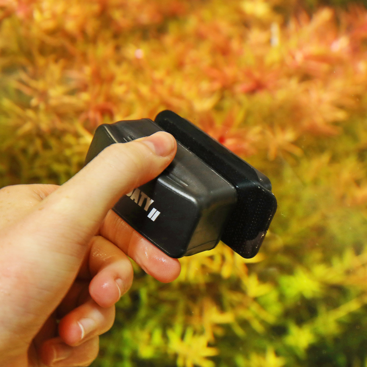 JBL Floaty II: Schwimmender Magnetreiniger für Aquarien, ideal für Algenentfernung. Zielgruppe: Aquarienbesitzer.