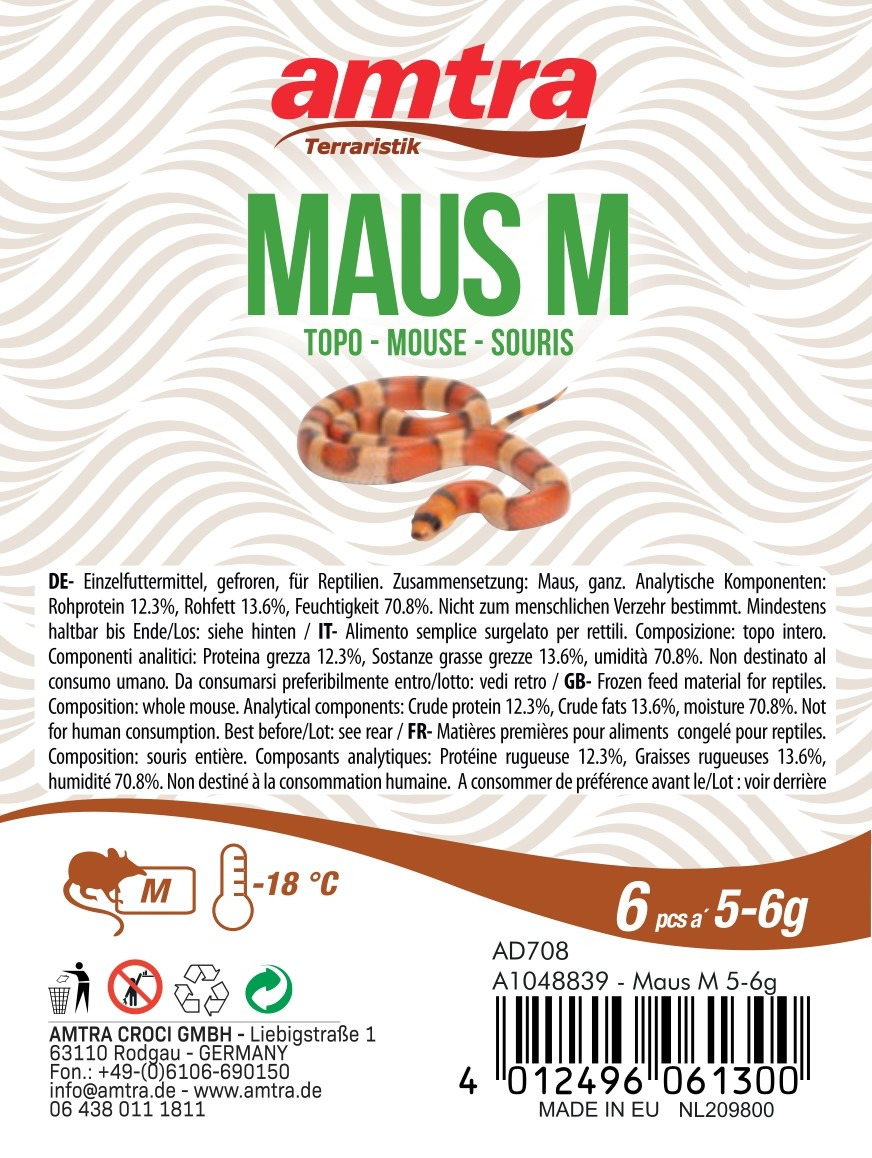 Das Bild zeigt das Produkt „amtra Terraristik MAUS M“, ein Einzelfuttermittel für Reptilien. Es handelt sich um gefrorene, ganze Mäuse mit einem Gewicht von 5-6 g pro Stück, verpackt in einer Menge von 6 Stück. Die Marke „amtra“ richtet sich an Reptilienh