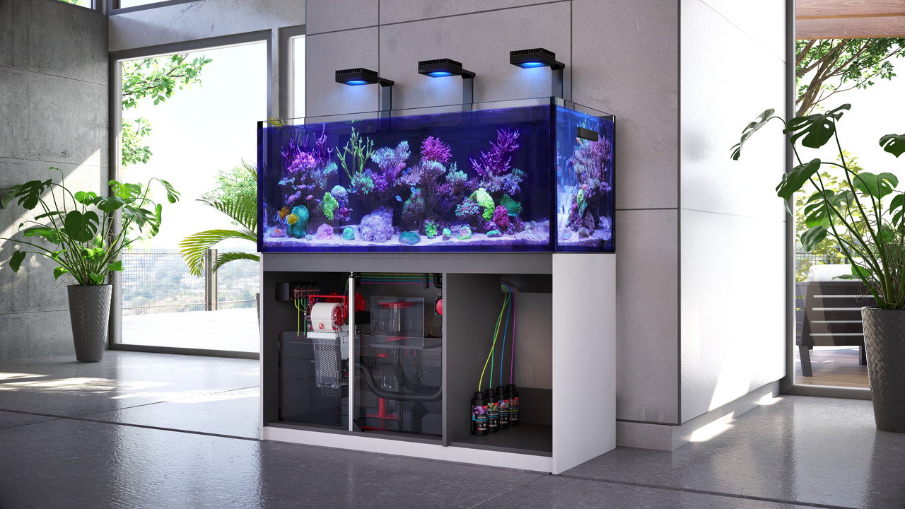 Ein modernes Meerwasseraquarium von Red Sea, Modell Reefer, mit integrierter Technik und LED-Beleuchtung. Das Aquarium zeigt eine lebendige Unterwasserlandschaft mit Korallen und Fischen. Im Unterschrank sind Filter, Pumpen und Zubehör sichtbar. Perfekt f