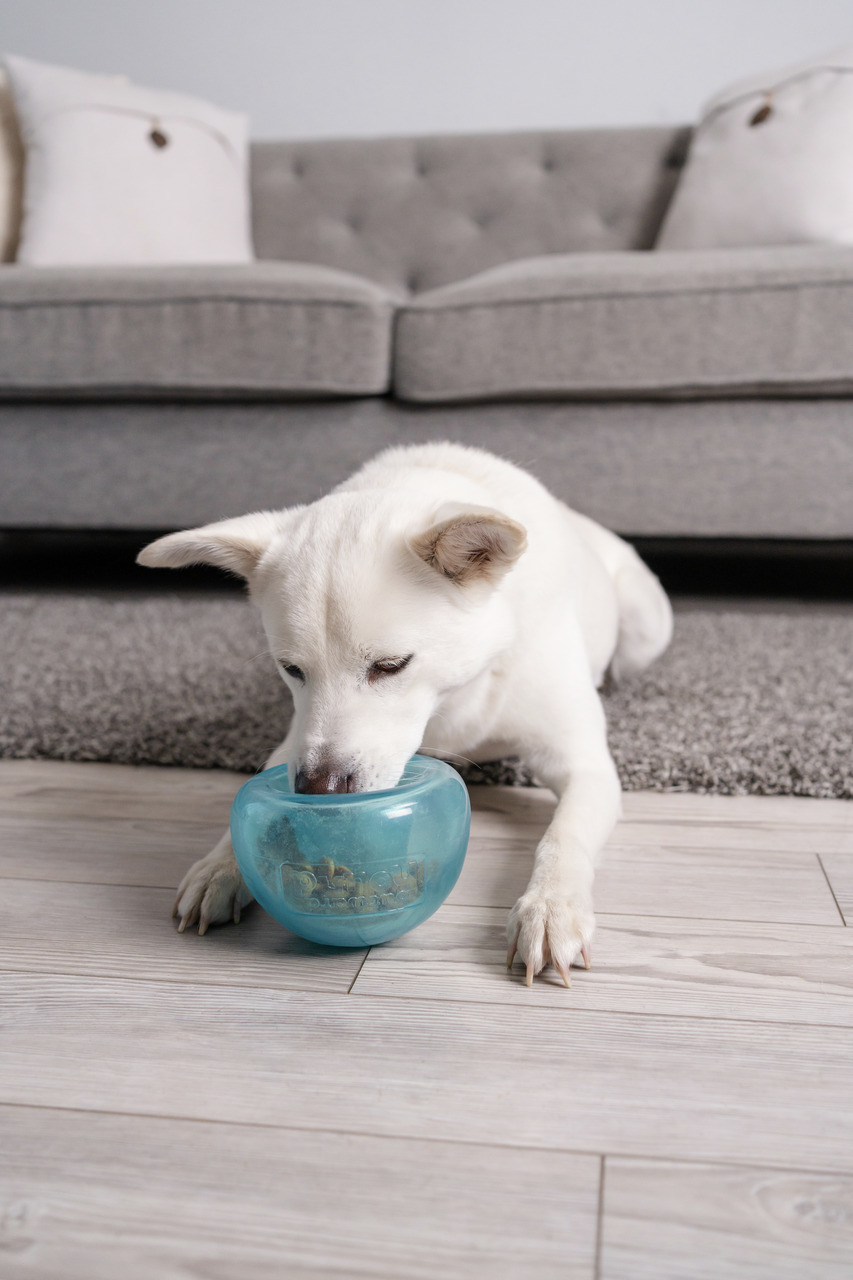 Outward Hound Futterspielzeug für Hunde, blau, mentale Stimulation & langsame Fütterung.