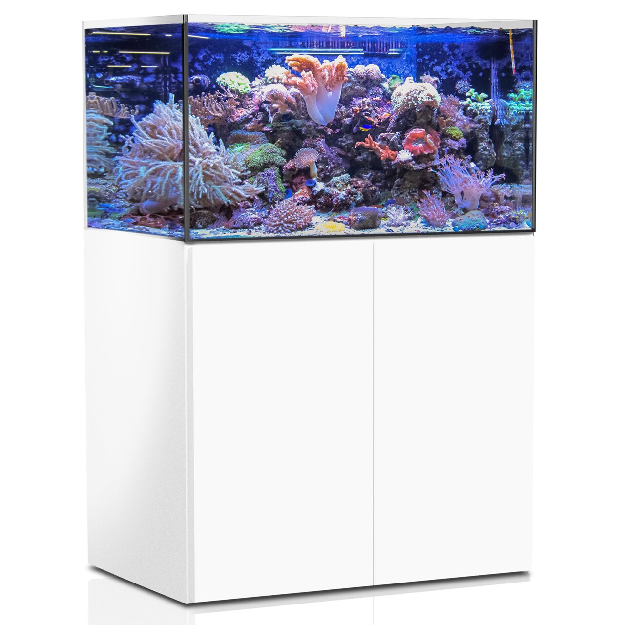 Aqua Medic Armatus 300: Meerwasseraquarium für erfahrene Aquarianer, modernes Design, weißer Unterschrank, ideal für Salzwasser.