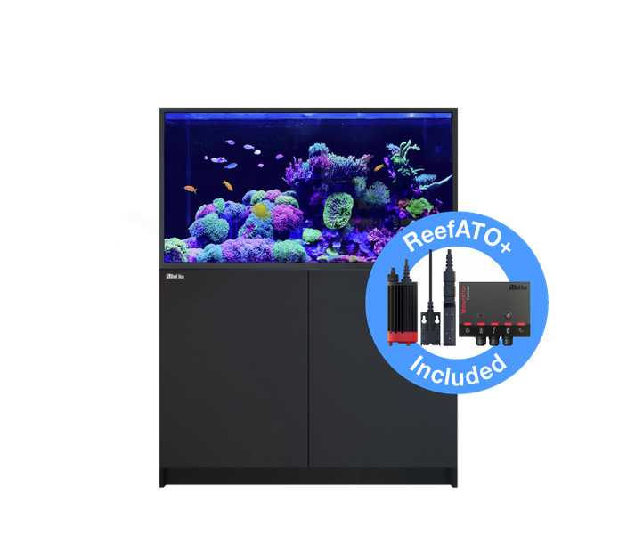 Red Sea REEFER G2+ S 550 Complete System schwarz