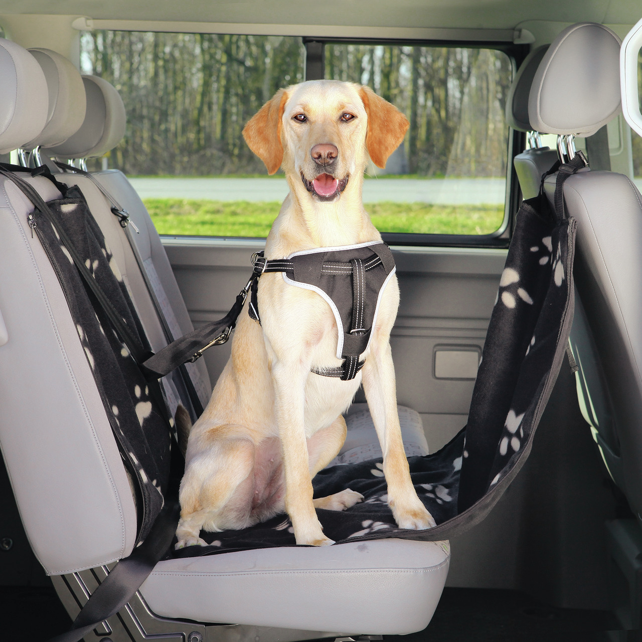 Ein Hund sitzt auf der Rückbank eines Autos, gesichert mit einem schwarzen TRIXIE Sicherheitsgeschirr. Die Zielgruppe sind Hundehalter, die Wert auf Sicherheit legen. Das Geschirr ist gepolstert und verstellbar. Unter dem Hund liegt eine schwarze Decke mi