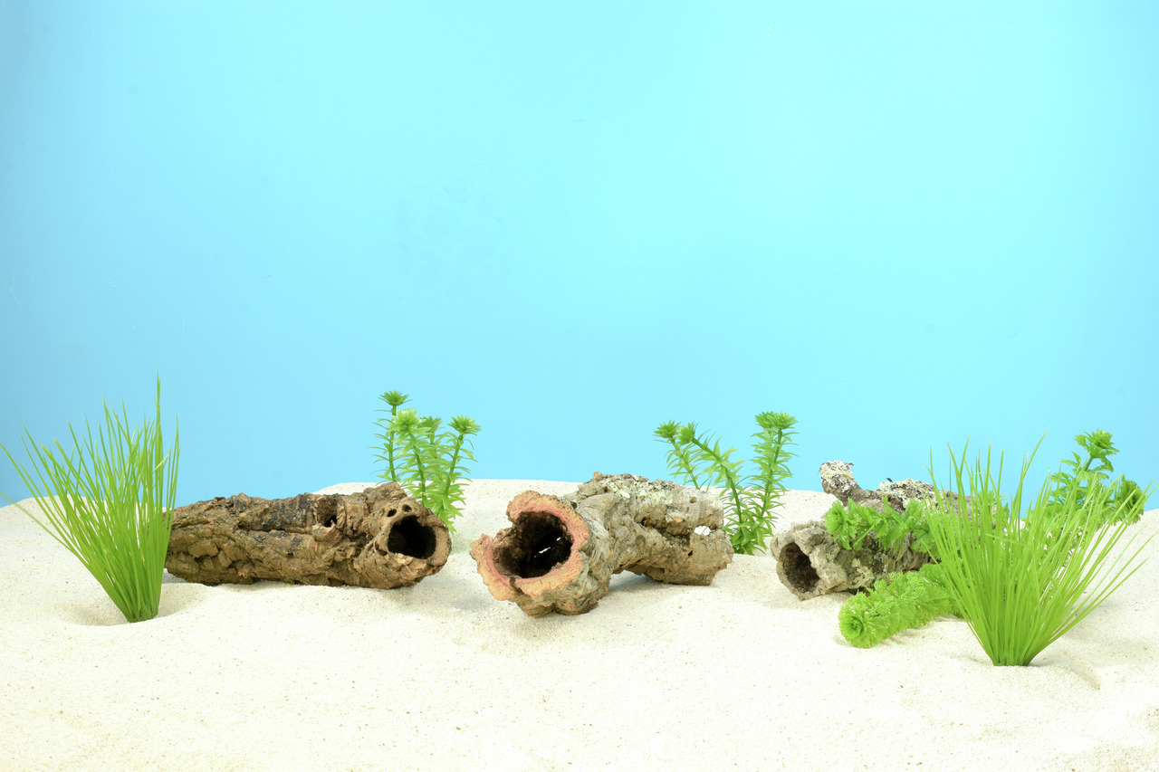 Colorstone Aquarium-Dekoration, Marke Colorstone, für Aquarienliebhaber: Baumstamm-Imitate, naturgetreu, mit künstl. Wasserpflanzen.