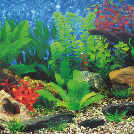HOBBY Aquarium-Pflanzen, künstlich, für Aquarienbesitzer, pflegeleicht, dekorativ, Grüntöne & Rot, natürliche Unterwasserlandschaft.