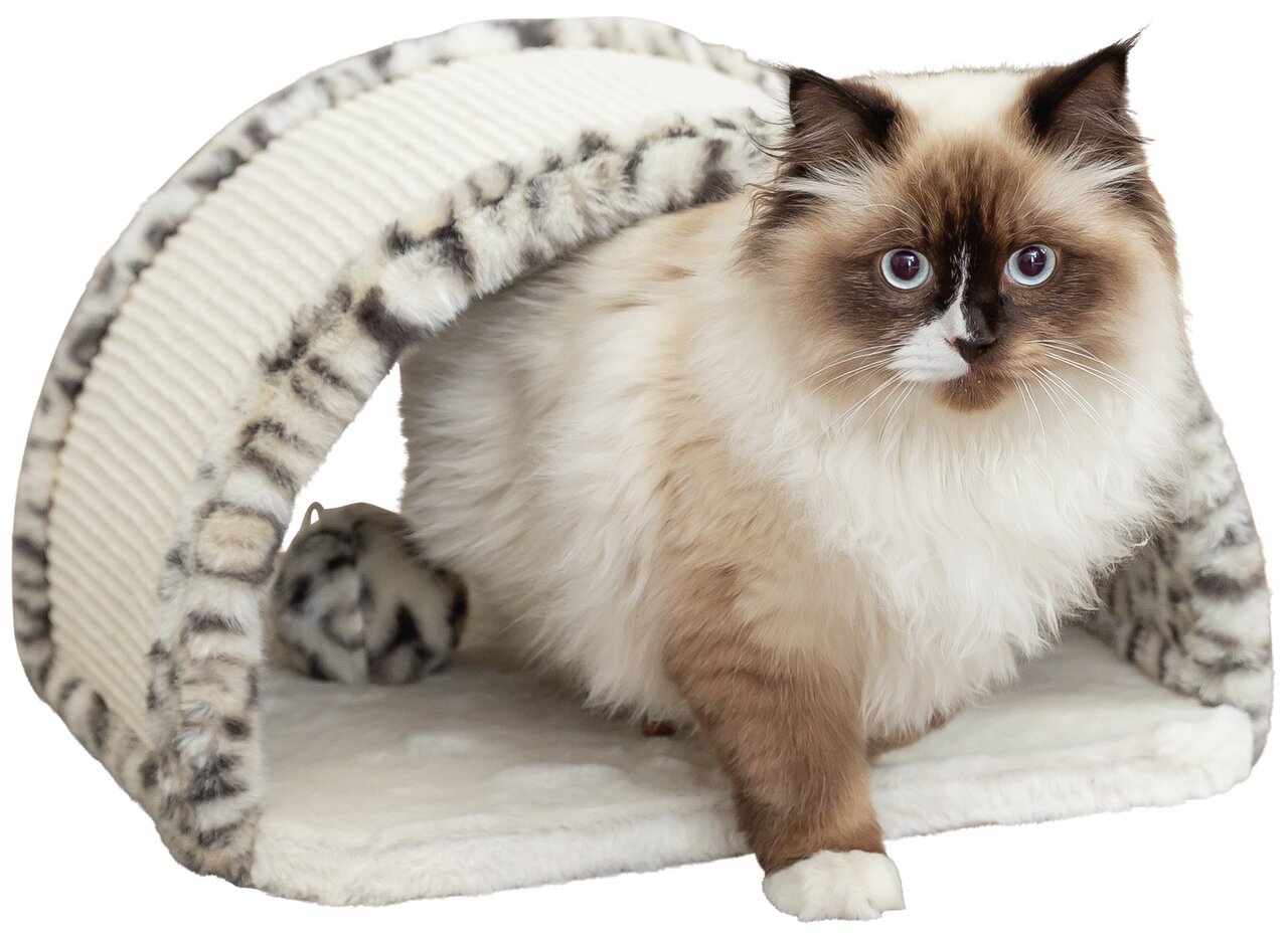 Katze sitzt unter TRIXIE Spieltunnel für Katzen mit Leopardenmuster, inkl. Spielzeugkugel, cremefarben, ideal zum Spielen.