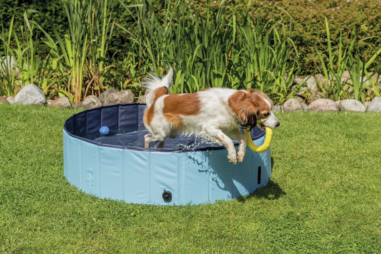 TRIXIE Hundepool, ideal für Hunde aller Größen, zur Abkühlung an heißen Tagen, hellblau, speziell für Hunde.