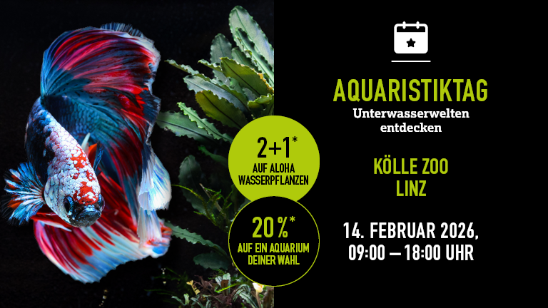 140226 Aquaristiktag Linz Mobile 768x432px