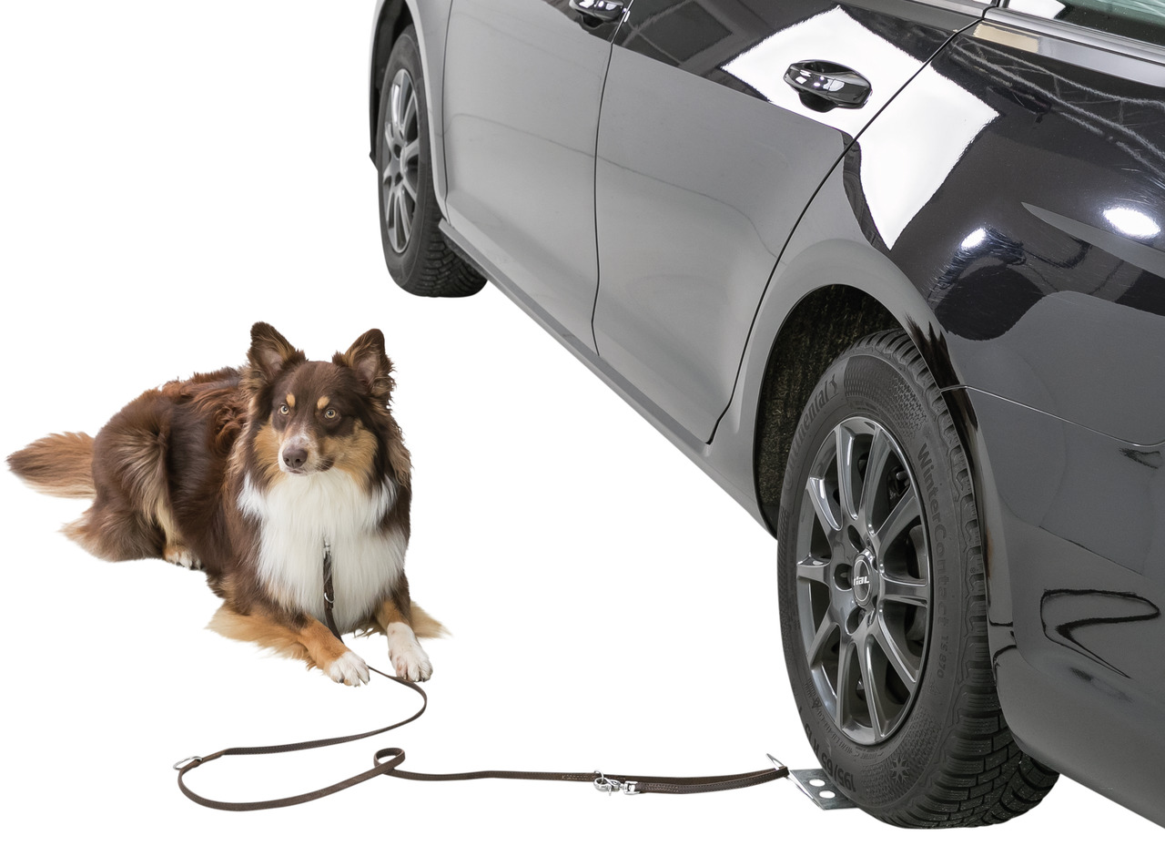 Ein braun-weißer Border Collie liegt neben einem schwarzen Auto, das mit einem TRIXIE Auto-Sicherheitsgurt für Hunde ausgestattet ist. Der Gurt ist an der Felge befestigt und sorgt für Sicherheit während Pausen. Zielgruppe: Hundebesitzer. Menge: 1 Stück. 