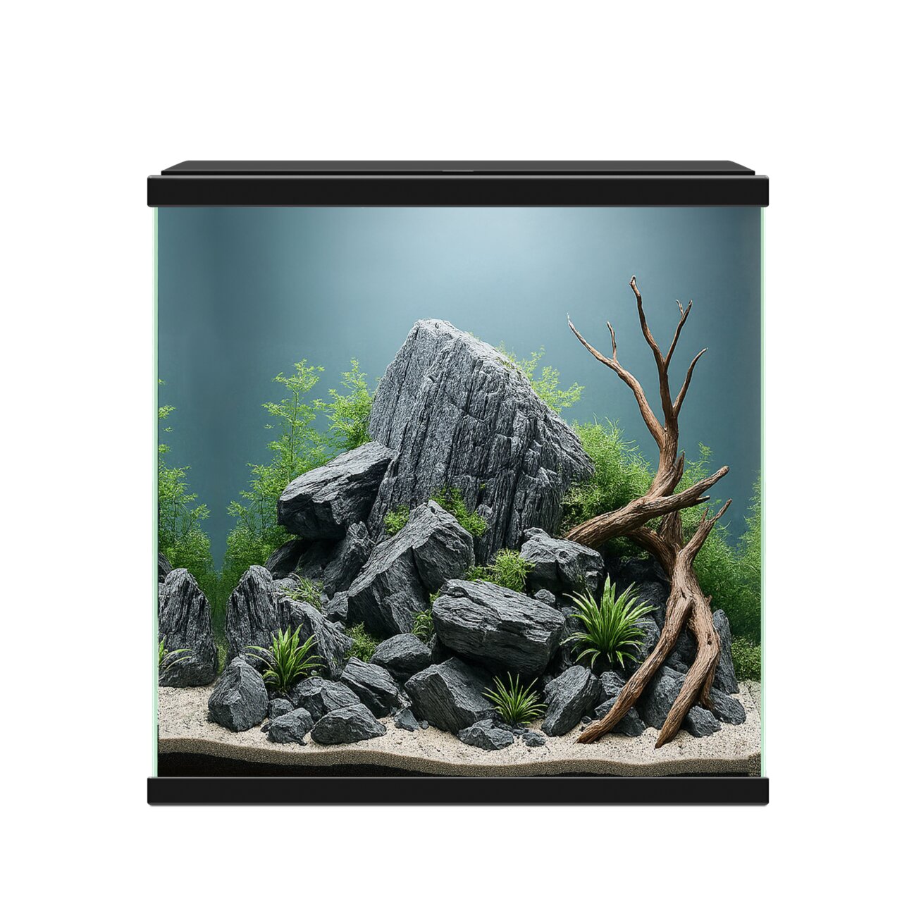 Ciano Aquarium mit schwarzem Rahmen für Süßwasserfische, rechteckig, mit Felsen, Pflanzen und Wurzel dekoriert.