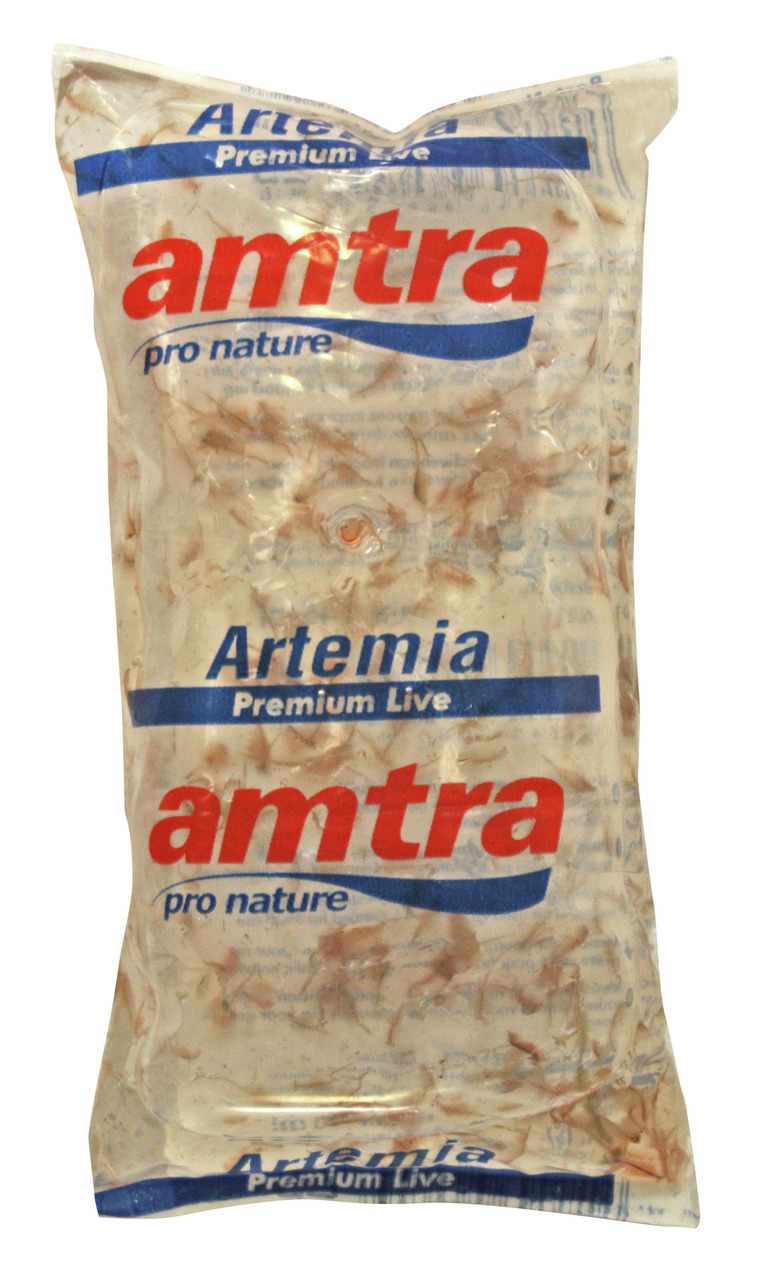 amtra Artemia Premium Live: Lebende Artemia, hochwertiges Fischfutter für Aquarienfische, „pro nature“, Zielgruppe: Aquarienbesitzer.