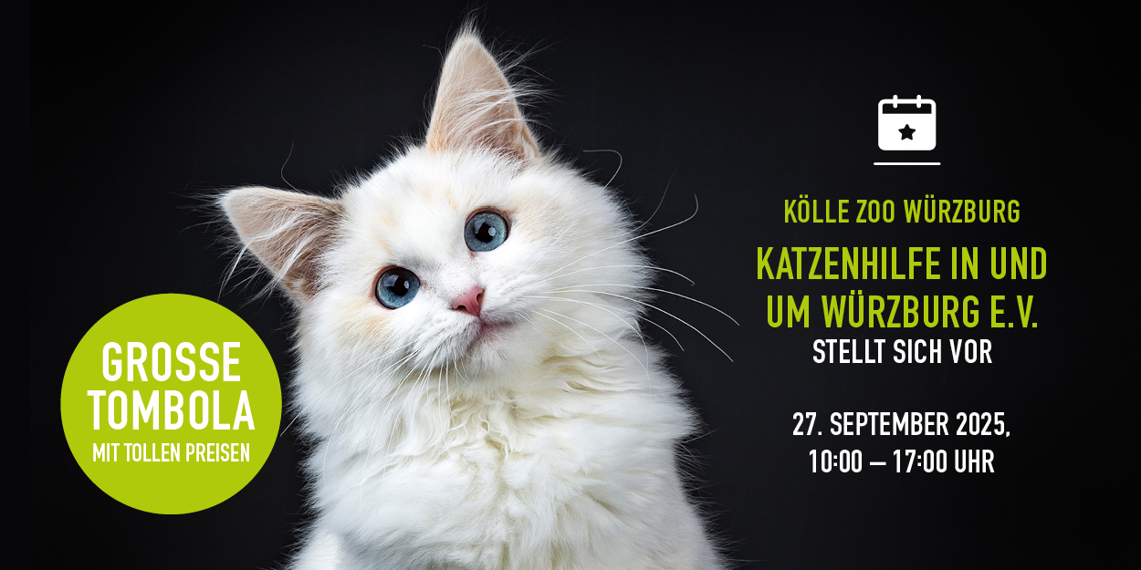 Kw39 2709 Tombola Katze Nl