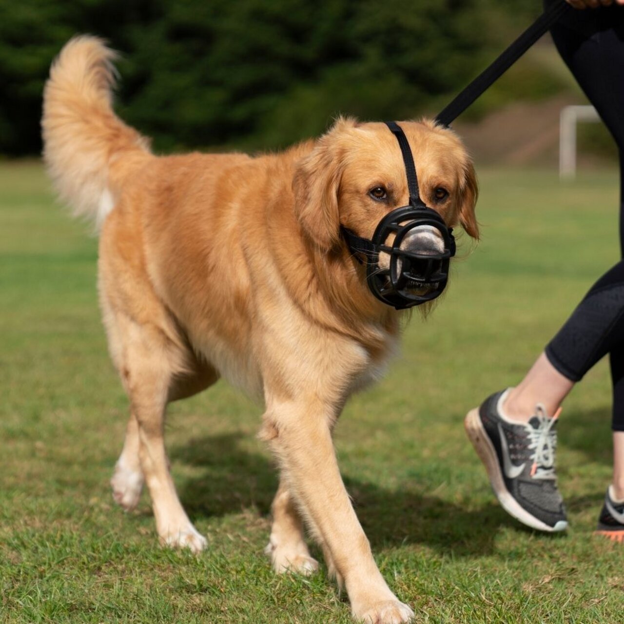 Baskerville Maulkorb, schwarz, ergonomisch, für Hundebesitzer