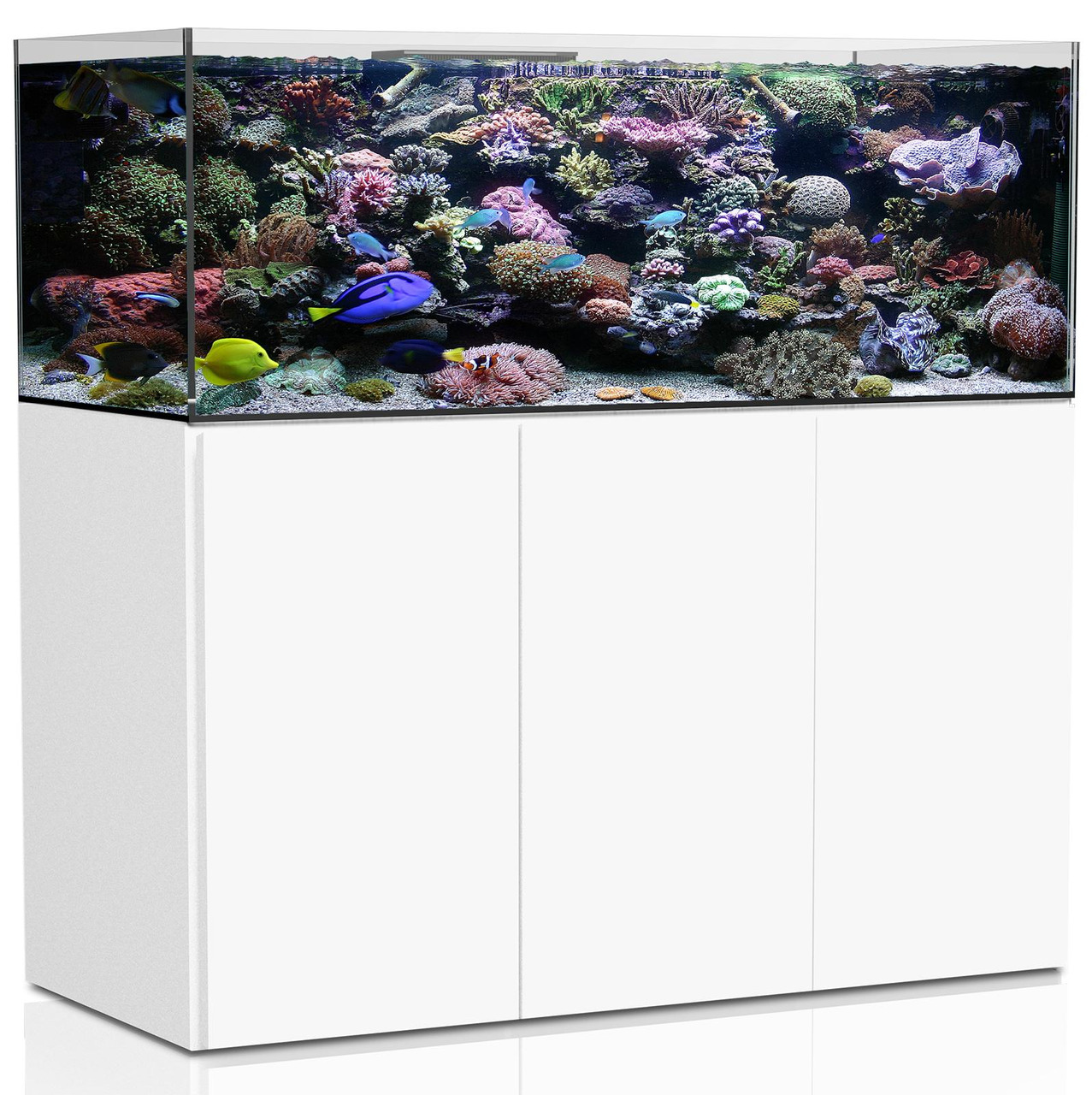AQUA MEDIC Armatus 575 XD Meerwasser-Aquarium mit Unterschrankfiltersystem weiß