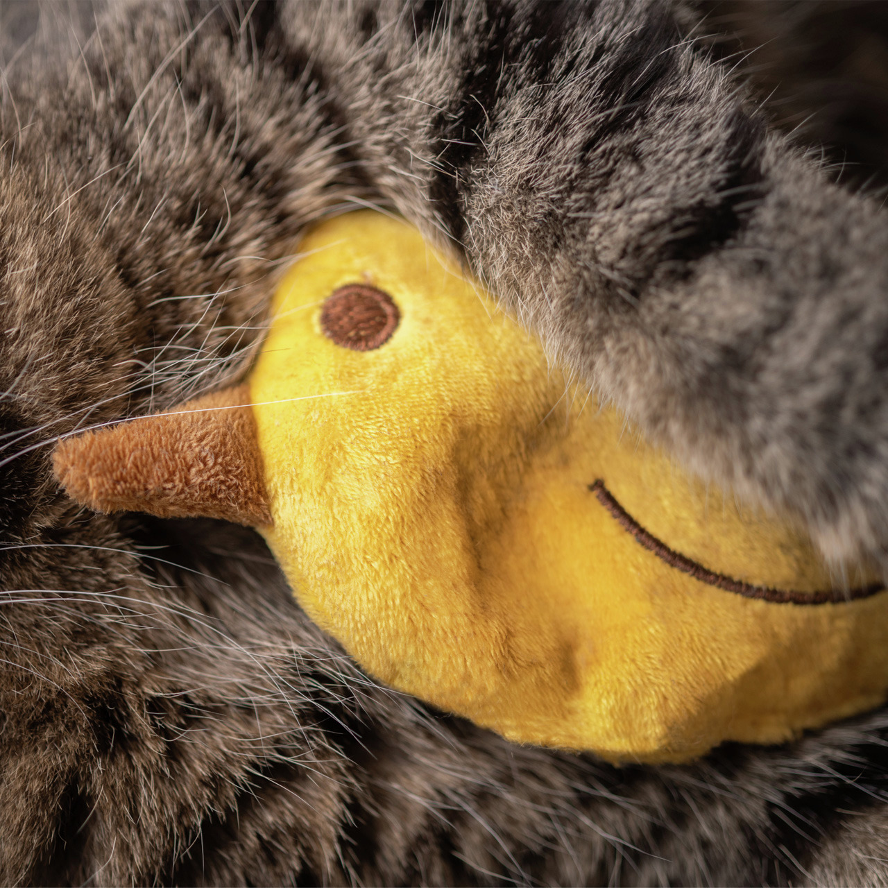 Ein Plüschspielzeug für Katzen der Marke Allpets, das einen gelben Vogel mit braunem Schnabel und gesticktem Lächeln zeigt. Es ist von weichem, grauem Katzenfell umgeben, was auf die Zielgruppe – Katzen – hinweist. Ideal für Spiel und Kuscheln, fördert es