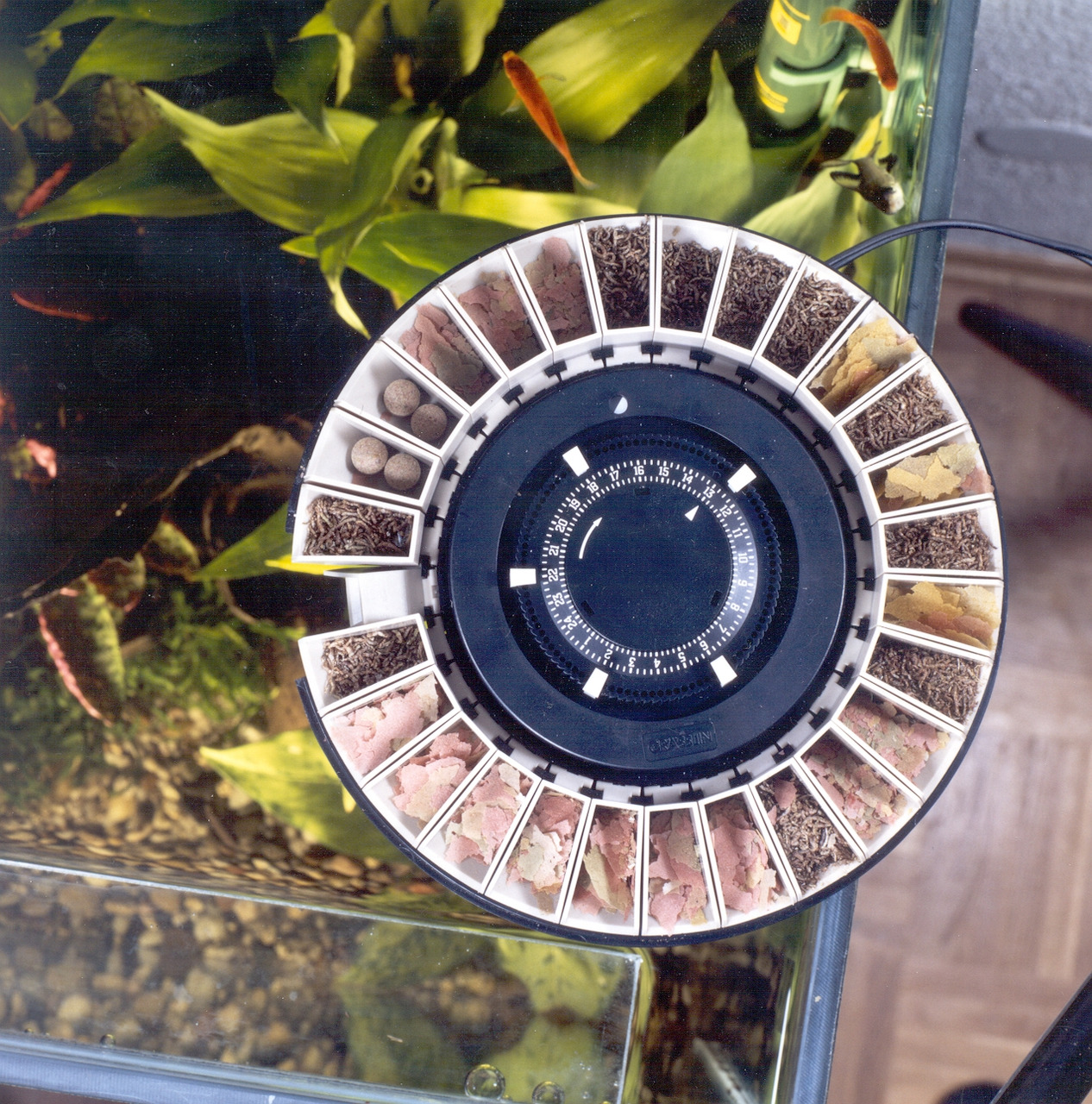 Das Bild zeigt einen automatischen Futterautomaten der Marke Grässlin, Modell Rondomatic 400, für Aquarienfische. Der runde Spender ist mit verschiedenen Futtersorten wie Flocken, Pellets und getrockneten Insekten befüllt. Im Hintergrund ist ein bepflanzt