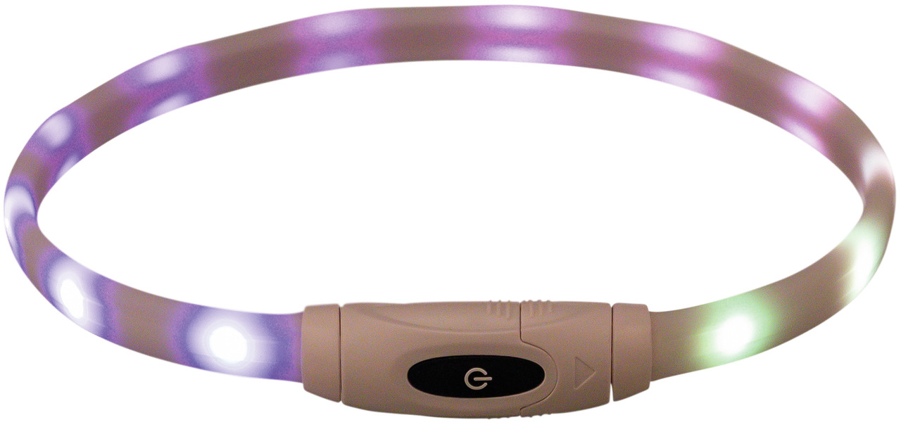 TRIXIE USB-Leuchthalsband für Hunde, LED, flexibel, transparent, leuchtet bunt, Sichtbarkeit & Sicherheit, für alle Rassen.