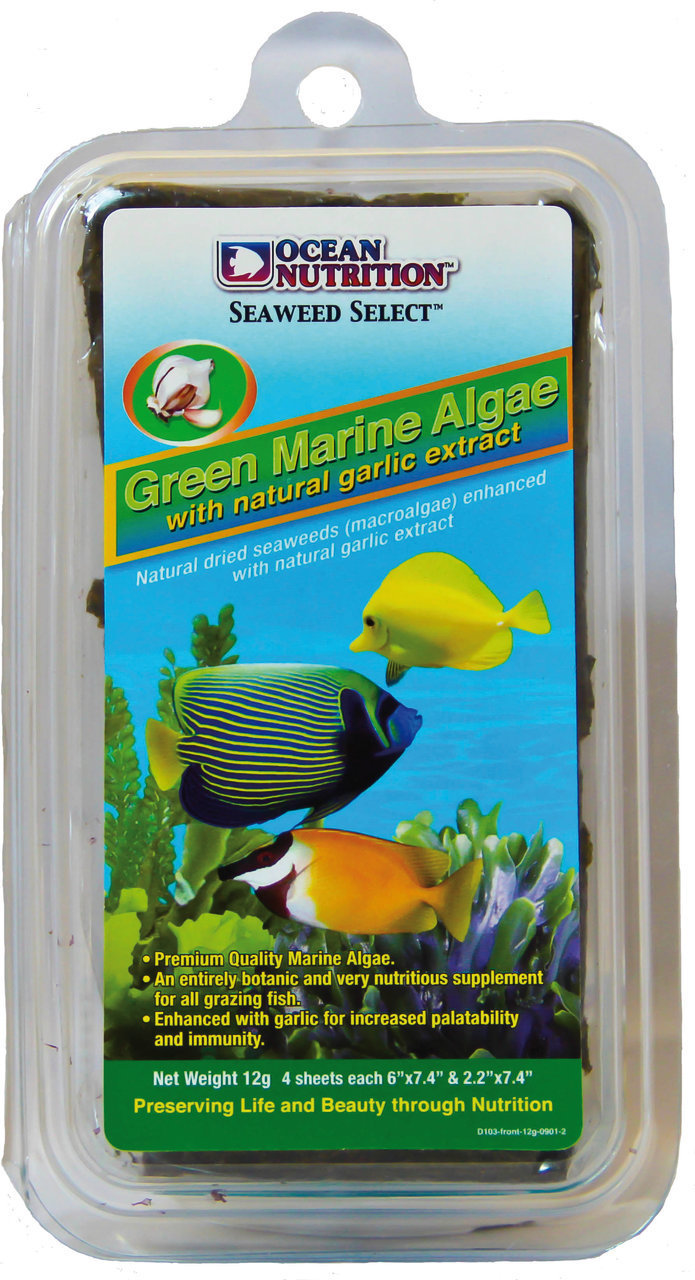 Das Bild zeigt das Produkt "Ocean Nutrition Seaweed Select Green Marine Algae with natural garlic extract". Es handelt sich um getrocknete Meeresalgen, angereichert mit Knoblauchextrakt, speziell für pflanzenfressende Zierfische. Die Verpackung enthält 12